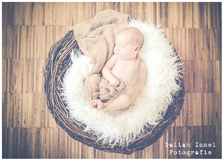 Babyfotostudio, Natürliche Babyfotografie, Fotostudio Wiesbaden, Available Light Studio, Babyfotografie Wiesbaden-004