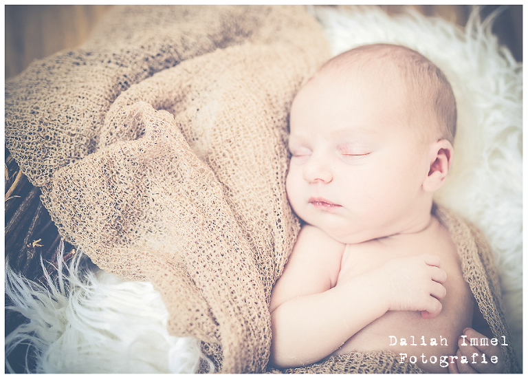 Babyfotostudio, Natürliche Babyfotografie, Fotostudio Wiesbaden, Available Light Studio, Babyfotografie Wiesbaden-010