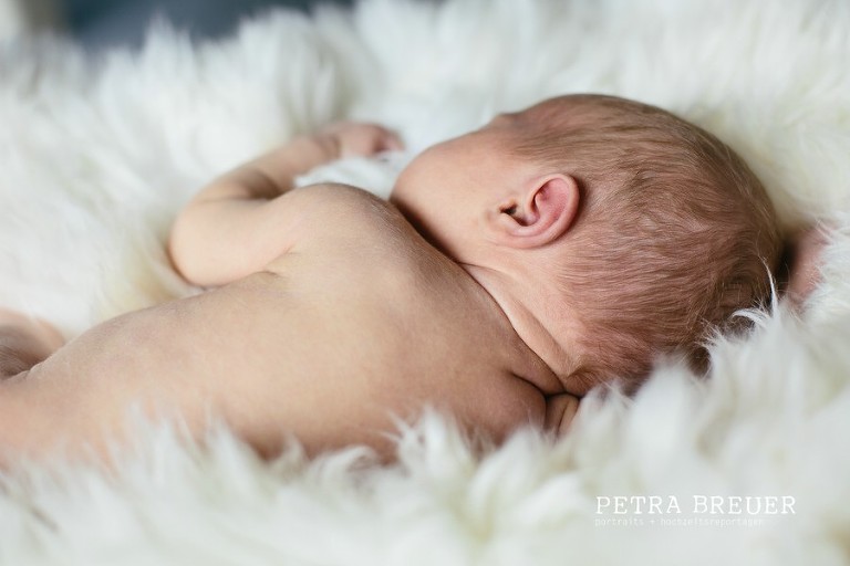 neugeborenenfotos_kelmis_belgien_010