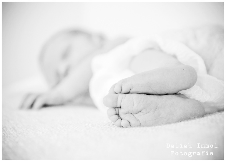 Tageslichtstudio Daliah Immel Wiesbaden-004