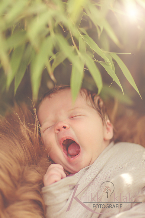 Babyfotografie Hamburg