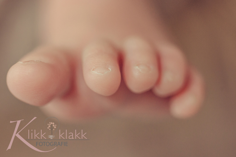 Babyfotografie Hamburg 6