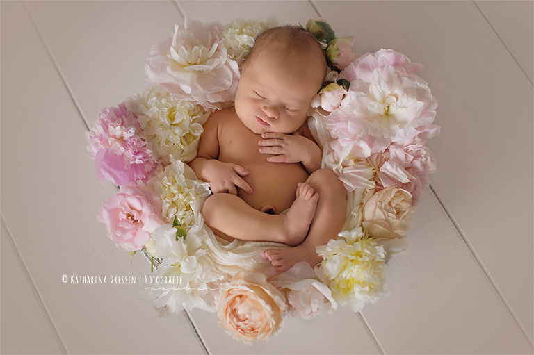 Baby_Fotoshooting_Familienfotograf_Babyfotograf_Duesseldorf_Fotografie_Katharina_Dressen