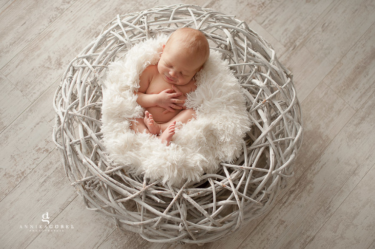 NeugeboreneAschaffenburg013