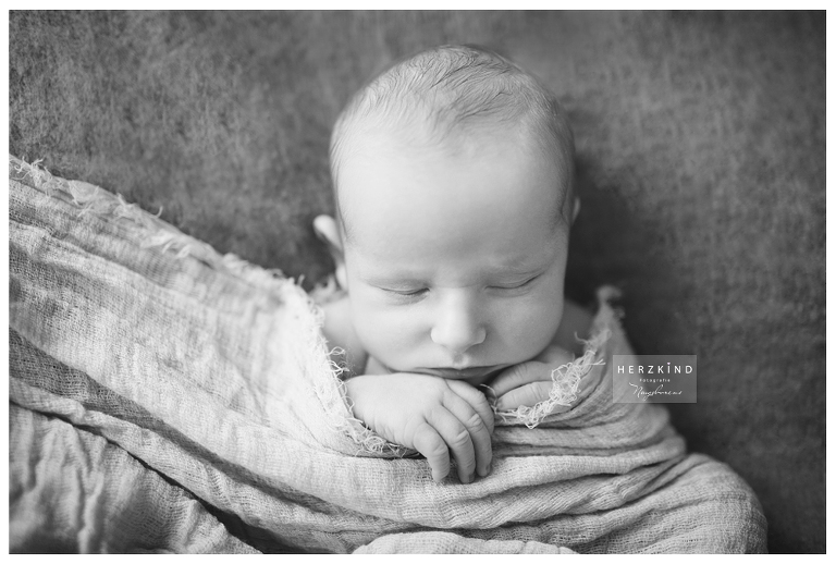 IMG_9619_bearbeitet_sw