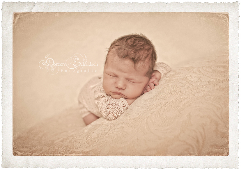 babybilder-berlin,babyphotos-berlin,babybilder-potsdam,babyfotograf-potsdam,newborn-fotoshooting,neugeborenenfotos-potsdam,neugeborenenfotos-berlin,fotoshooting-baby,babyfotograf-berlin,
