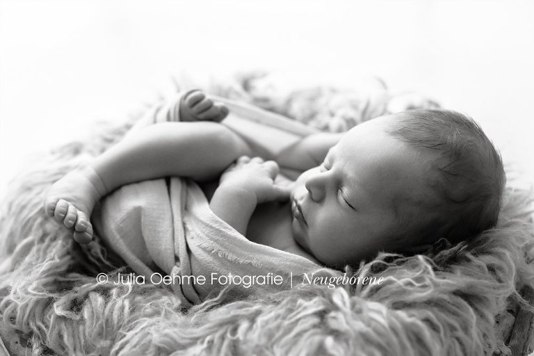babyfotos kleiner junge 11 tage alt im fotostudio von babyfotografin julia oehme in leipzig beim neugeborenenshooting
