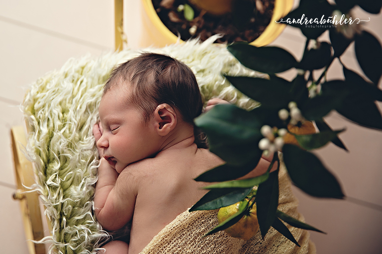 20160420 Henry 01 Kopie