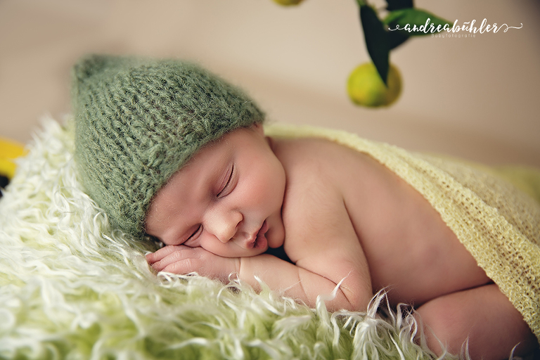 20160420 Henry 06 Kopie