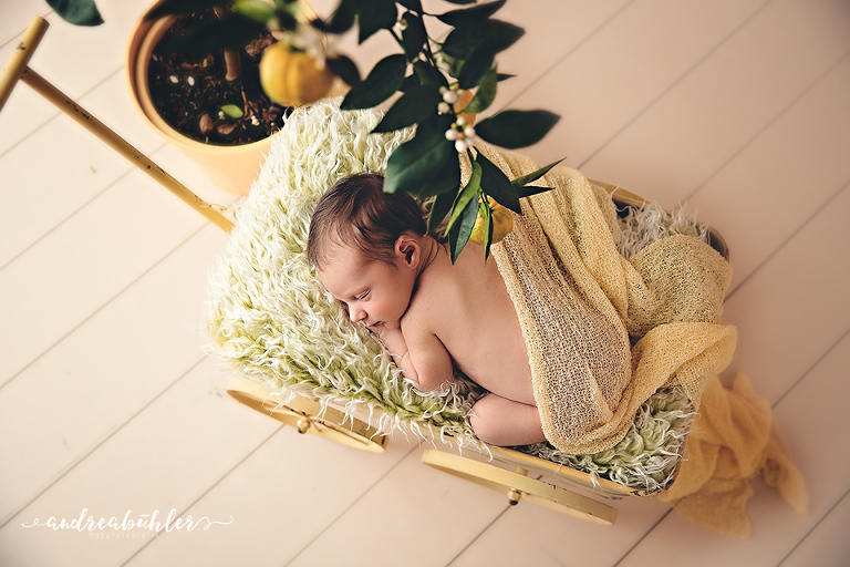 20160420 Henry 07 Kopie