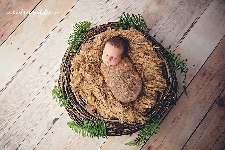 20160420 Henry 08 Kopie