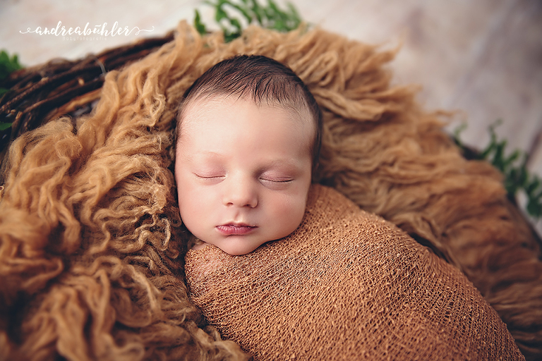 20160420 Henry 09 Kopie