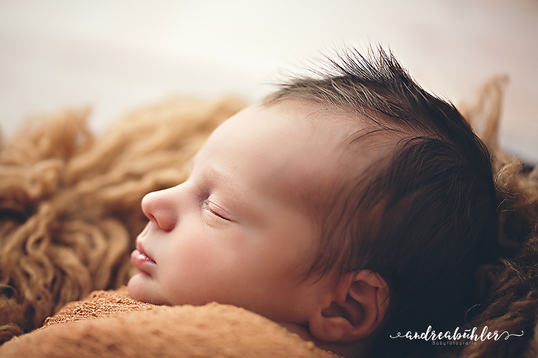 20160420 Henry 12 Kopie