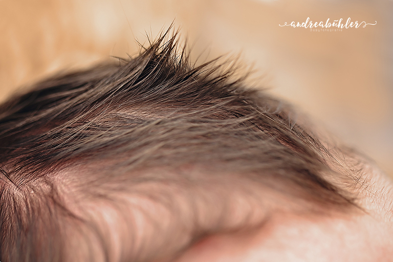 20160420 Henry 15 Kopie