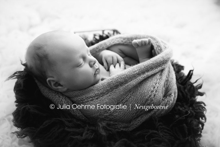 babyfotos shooting fotograf baby babybilder junge fotostudio leipzig halle dresden chemnitz julia oehme 0914_0125