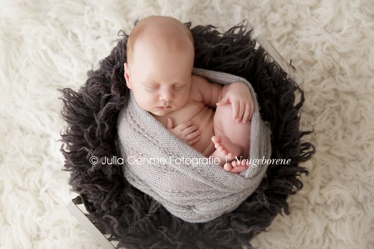 babyfotos shooting fotograf baby babybilder junge fotostudio leipzig halle dresden chemnitz julia oehme 0914_0127