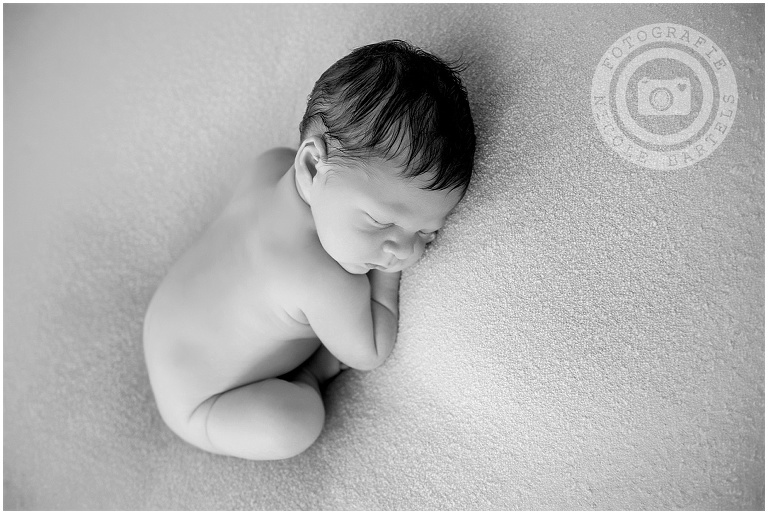 Babyfotograf_Hamburg_0008