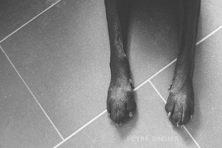 familienfotografie_aachen_petra_breuer-20