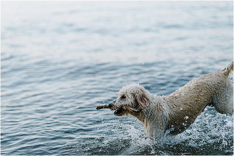 Schwangerschaftsbilder, Babybauchbilder, Schwangerschaftsfotos, Schwangerschaft, Babybauchfoto, Babybauch, Corinne Chollet