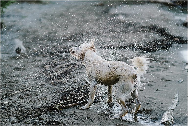 Schwangerschaftsbilder, Babybauchbilder, Schwangerschaftsfotos, Schwangerschaft, Babybauchfoto, Babybauch, Corinne Chollet