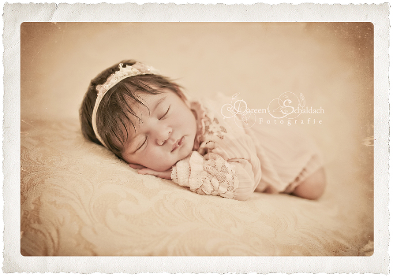 Babyfotograf-Potsdam