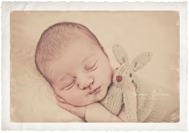 Neugeborenenfotos Berlin 
