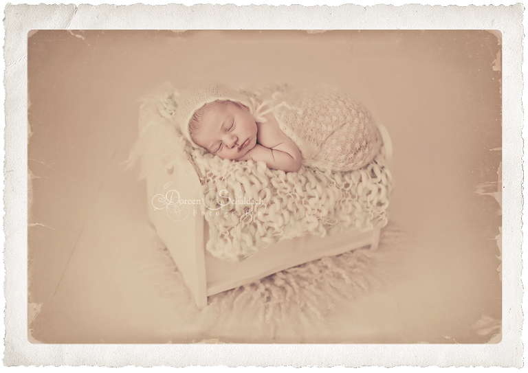 Babyfotos Potsdam