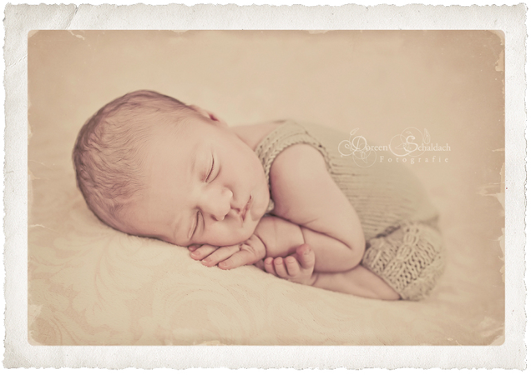 Babyfotograf Potsdam