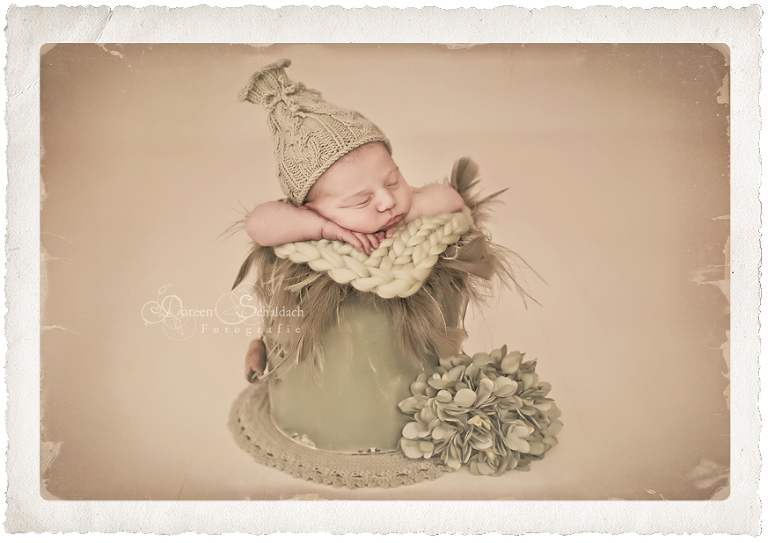 Babyfotos Berlin