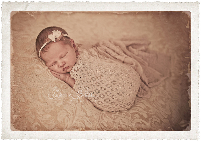 babyfotograf potsdam, babyfotos potsdam