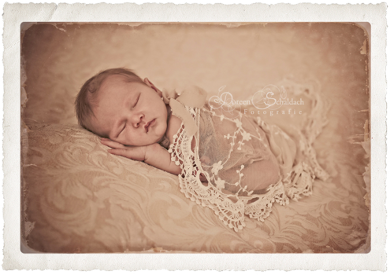 fotos baby berlin,fotos baby potsdam