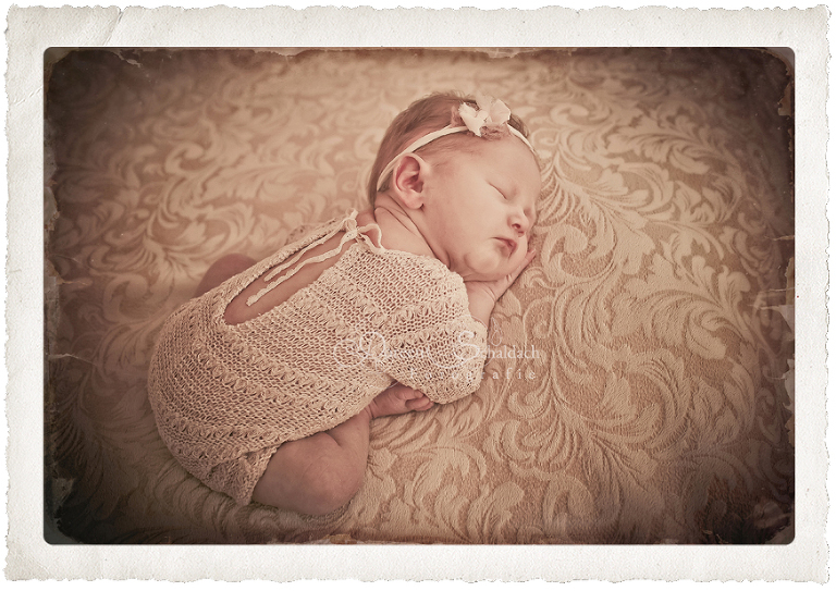 fotoshooting baby potsdam