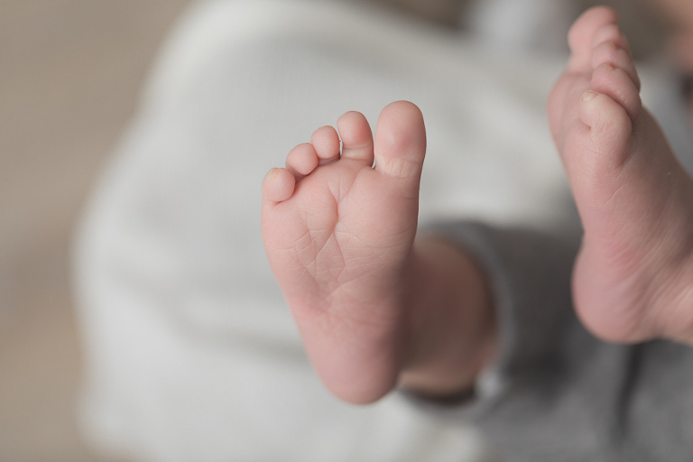 Fotograf Stade, Cuxhaven