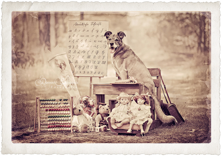 fotoshooting kinder berlin